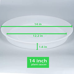 Bleuhome close-up showing matte exterior and glossy inner surface for easy cleaning
