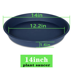 Bleuhome side profile showing 1.6-inch height and sturdy rim for stability