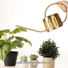 BLstyle long spout detail demonstrating precise targeted watering benefit