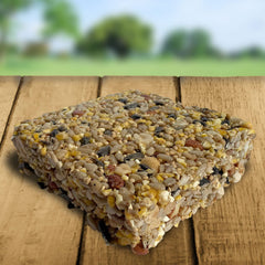Blue Seal suet bar placed in a standard feeder attracting woodpecker for quick energy