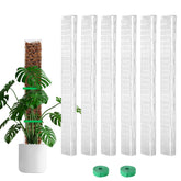 Bluepro front view of six 24 inch moss poles showing package contents and benefit
