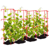 Blulu front view expanded trellis showing full 9-foot support and cleaner plants
