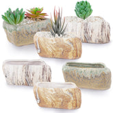 Blushtier six ceramic pots front view showing coordinated colors and neat arrangement, enhances décor