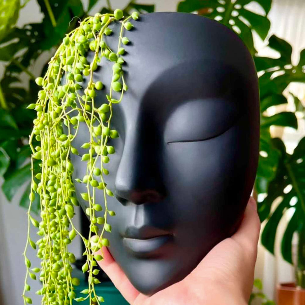 Bossa Linda front view of black face planter highlighting sculptural look and focal benefit