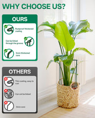 Breeze Touch connected stakes assembled into circular cages demonstrating flexible plant shapes