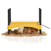 Brinsea Ecoglow front view showing compact radiant plate warming benefit