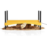 Brinsea Ecoglow front view showing compact safety brooder and stable base benefits
