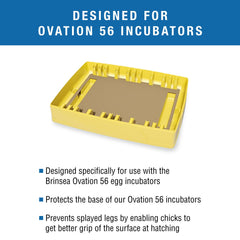 Brinsea corrugated surface close-up highlighting improved grip for chicks