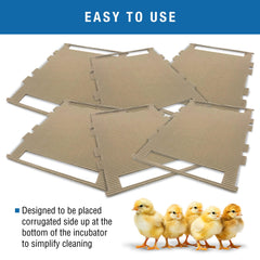 Brinsea mat placed inside Ovation 56 incubator showing correct fit and protection