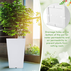 Briwooody planter next to ruler illustrating 15.75 inch height for plant sizing