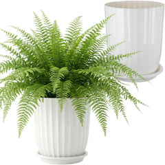 Briwooody side profile with plant showing upright support and elegant silhouette