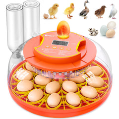 brnvl front view showing incubator and clear lid, perfect for countertop hatching