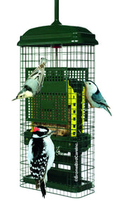Brome feeder front view showing green shroud and feeding ports, prevents food loss