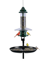 Brome Squirrel Buster Plus front view showing feeder and ports, clear bird visibility benefit