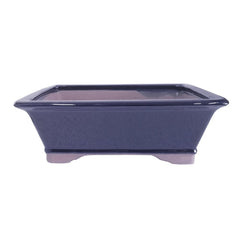 Brussel's Bonsai front view glazed rectangle planter showing elegant finish and display benefit