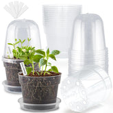 BTPLASTIK clear pot front view showing transparency and easy monitoring
