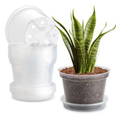 BTPLASTIK front view of clear 8-inch pot showing shape and rim for easy handling