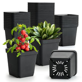 BTPLASTIK front view of 50-piece black square nursery pots showing uniform set and capacity benefit