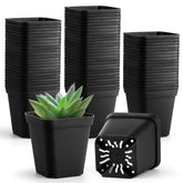 BTPLASTIK front view of 3.5-inch black pots showing neat rows and space-saving benefit