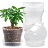 BTPLASTIK front view of clear 7-inch pot and saucer shows neat presentation and protection