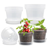 BTPLASTIK front view of 9 clear nursery pots with saucers showing neat organization and easy watering