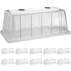 BTPLASTIK front view clear dome showing secure tray fit and better germination