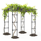 BUKLIYN front view arch trellis showing full gateway and plant support benefit