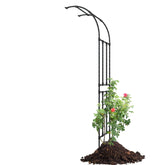 BUKLIYN front view of half arch trellis showing elegant curve and support