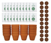 BUZZY front packaging showing complete spruce grow kit and contents benefit convenience