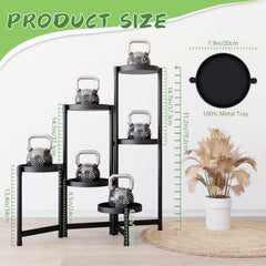 CADANI next to standard pot showing height and scale advantage