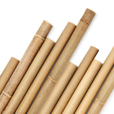 Cambaverd front view of 10-pack bamboo stakes showing length and count, sustainable support