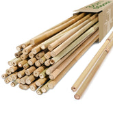 Cambaverd front packaging showing 50-pack stakes and clear product benefit