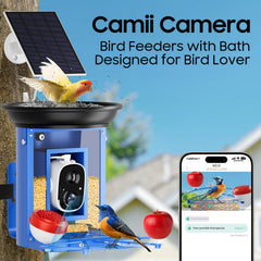 Camii integrated bird bath detail showing safe shallow water for bathing birds