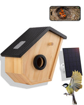 Camii front view of birdhouse showing entrance and natural wood benefit observation