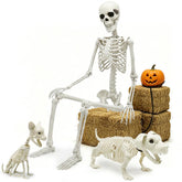 CAMIRUS skeleton front view showing full 5.4ft height and realistic bone details for impact