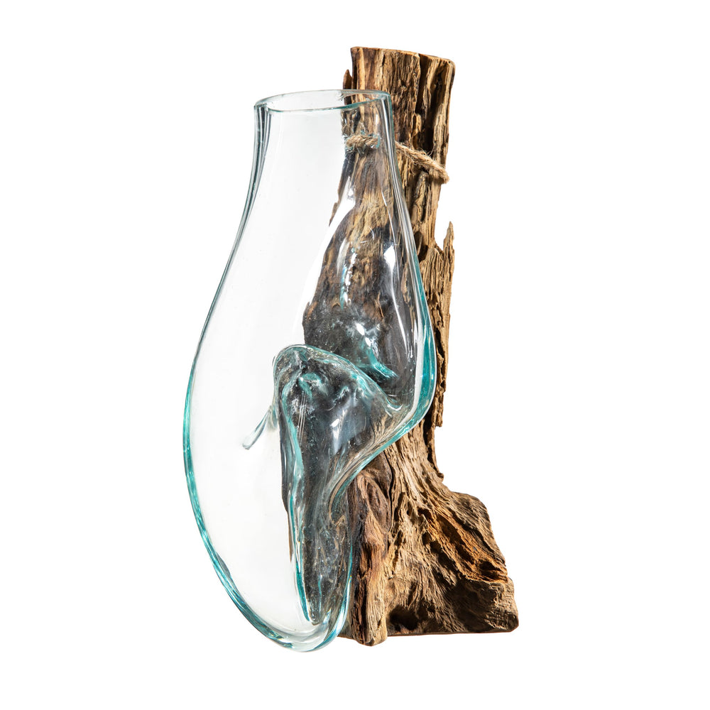 Cape Craftsmen front view terrarium on wall showing natural decor benefit