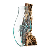 Cape Craftsmen front view terrarium on wall showing natural decor benefit