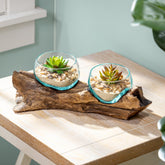 Cape Craftsmen front view of two blue-tinted terrariums showing coastal style and balance