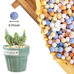 CARURBODY pebbles in a succulent pot reducing soil moisture retention