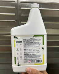Cedarcide pint held next to hand to show pint size and easy household use