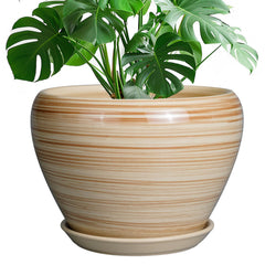 Ceramicfor front view yellow planter showing modern round shape and bright color benefit