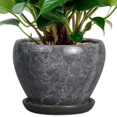 Ceramicfor front view of gray planter showing shape and modern finish benefit