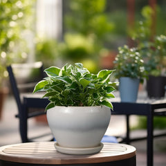 Ceramicfor side profile with saucer demonstrating drip-free tabletop protection
