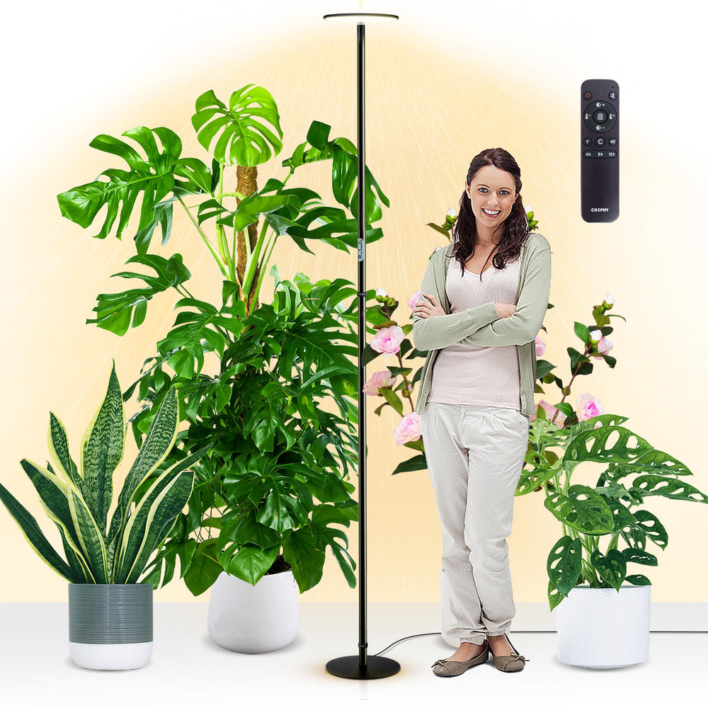 chiphy front view full height shows elegant lamp and even plant lighting benefit