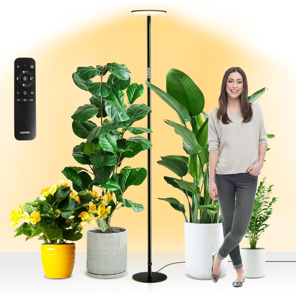 chiphy front view showing sleek floor lamp and space-saving design benefit