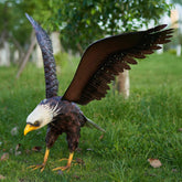 chisheen eagle front view showing lifelike stance and curb appeal