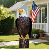 chisheen front view shows patriotic eagle as strong garden focal point