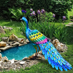 chisheen peacock front view showing colorful finish and welcoming garden accent
