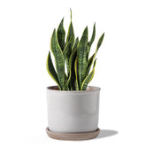 Chubacoo front view retro gray planter showing elegant finish and stability