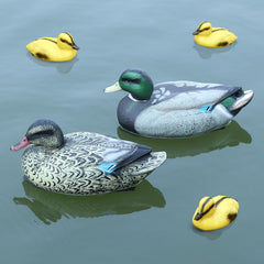 Cifavor front view of adult mallards showing lifelike look and appeal